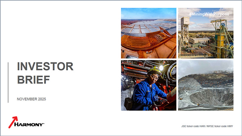 Investor brief [thumbnail]